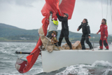 warrior gbr1429l whyw17 fri gjmc 9166